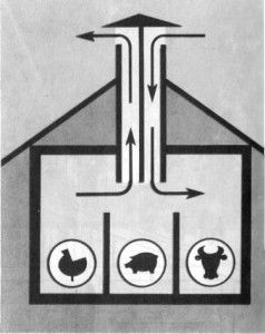 Ventilacija staje