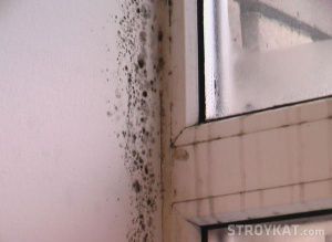 u kutovima sobe pojavljuje se plijesan, prozori plaču