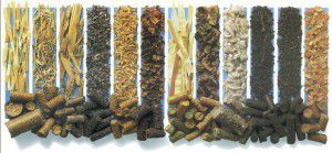 Pellets from various types of wood
