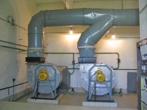 shock absorbing structures to reduce noise