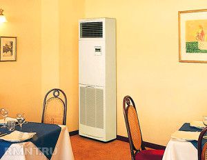 Column indoor unit