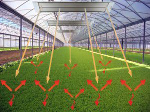 Infrared heating in a greenhouse