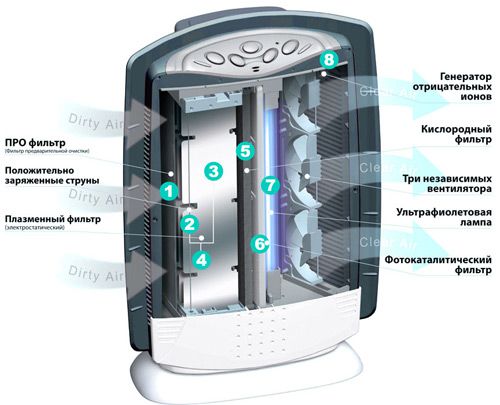 Structural elements of the device