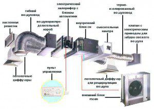 Exhaust system